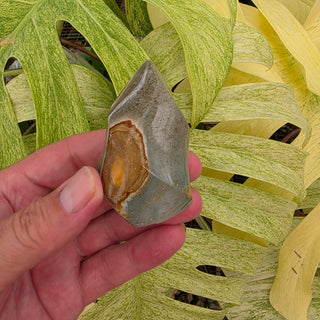 Polychrome Jasper Flame (4.13 oz _ SL-430)