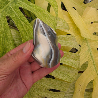 Orca Agate Flame (7.49 oz _ SL-432)