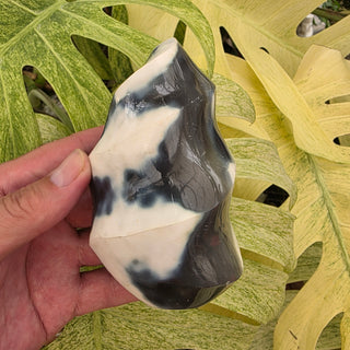 Orca Agate Flame (1.4 lbs _ SL-439)