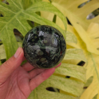 Kambaba Jasper Sphere (1.4 lbs _ SL-442)