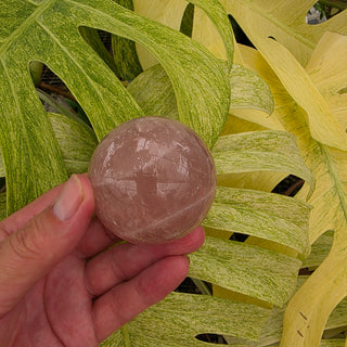 Rose Quartz Sphere (9.54 oz _ SL-443)