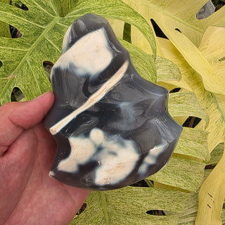 Orca Agate Flame (2.2 lbs _ SL-448)
