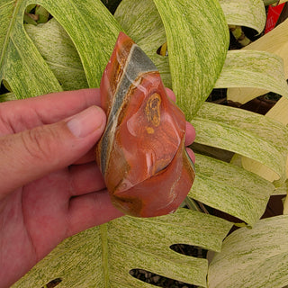 Polychrome Jasper Flame (6.31 oz _ SL-458)