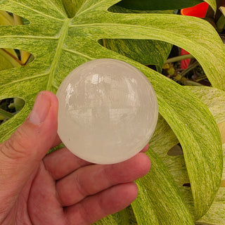 Cloud Quartz Sphere (14.81 oz _ SL-459)