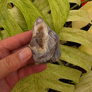 Polychrome Jasper Flame (5.81 oz _ SL-462)