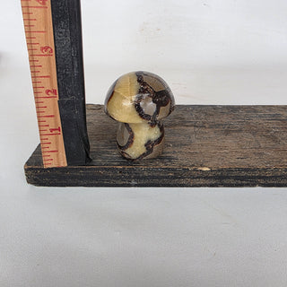 Septarian Mushroom (6.10 oz _ SL-465)