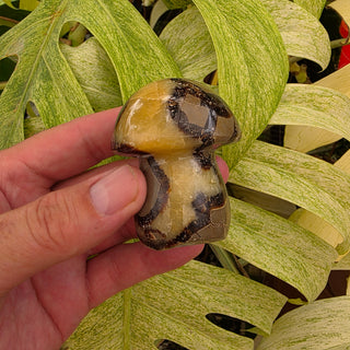 Septarian Mushroom (6.10 oz _ SL-465)