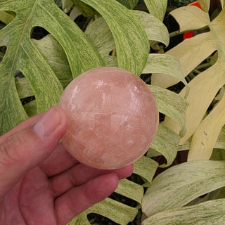 Rose Quartz Sphere (15.76 oz _ SL-467)