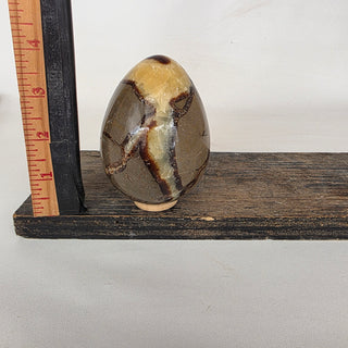 Septarian Dragon Egg (1.4 lbs _ SL-468)