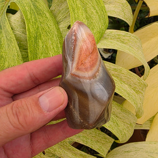 Polychrome Jasper Flame (5.77 oz _ SL-469)