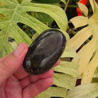 Labradorite Palmstone (5.11 oz _ SL-477)