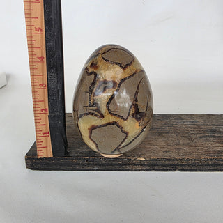 Septarian Dragon Egg (2.4 lbs _ SL-481)