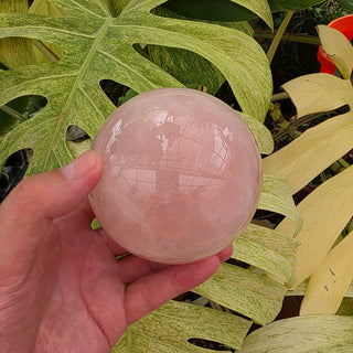 Rose Quartz Sphere (2.8 lbs _ S-482)