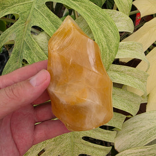 Golden Healer Flame (13.02 oz _ SL-483)