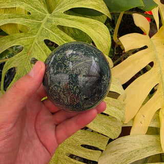 Kambaba Jasper Sphere (1.6 lbs _ SL-484)