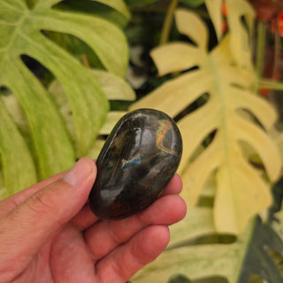 Labradorite Palmstone (4.32 oz _ SL-485)