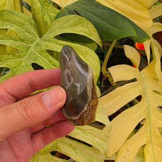 Polychrome Jasper Flame (3.74 oz _ SL-486)