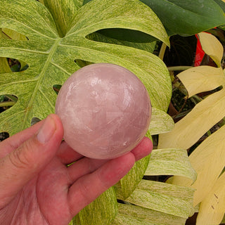 Rose Quartz Sphere (17.12 oz _ SL-487)