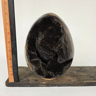 Cathedral Septarian Egg (13.9 lbs _ S-490)
