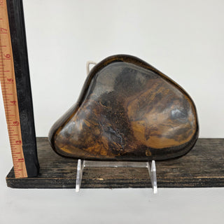 Tiger's Eye (5.1 lbs _ S-491)