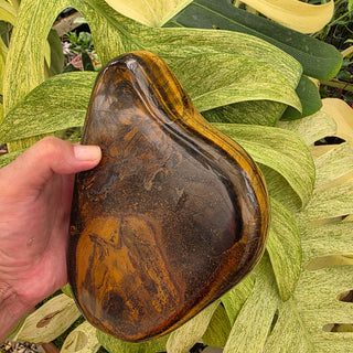Tiger's Eye (5.1 lbs _ S-491)