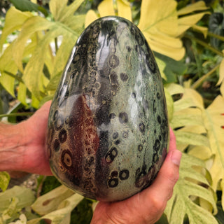 Kambaba Jasper Egg (23.8 lbs _ S-493)