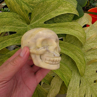 Jasper/Calcite Skull-Shape (1.4 lbs _ SL-497)