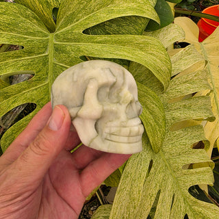 Serpentine Jade Skull-Shape (1.4 lbs _ SL-500)