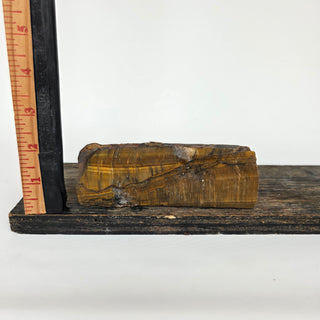 Tiger's Eye Slice (7.92 oz _ SL-501)