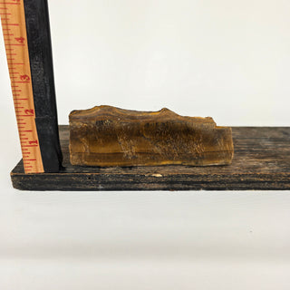 Tiger's Eye Slice (6.57 oz _ SL-502)