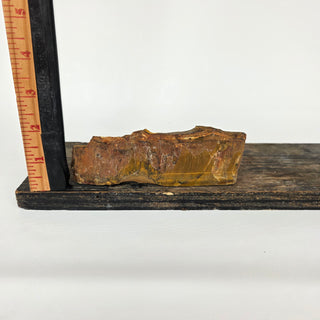 Tiger's Eye Slice (6.57 oz _ SL-502)