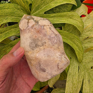 Flower Agate Flame (2.0 lbs _ S-503)