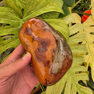 Polychrome Jasper Freeform (2.2 lbs _ S-504)