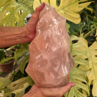 Rose Quartz Flame (19.2 lbs _ S-505)
