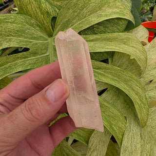 Rough Quartz Point (2.91 oz _ SL-510)