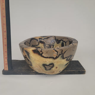 Septarian Bowl (13.5 lbs _ S-42)