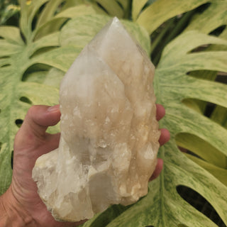 White Calcite Crystal Cluster (3.97 lbs _ S-49)