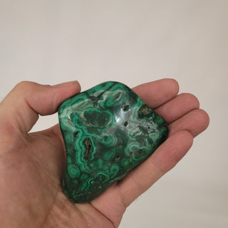 Bull's Eye Malachite (10.2 oz _ SL-69)