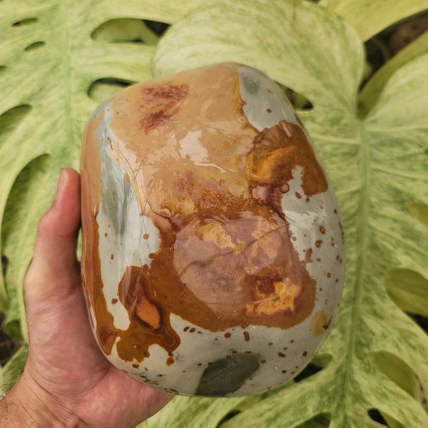 Polychrome Jasper (8.91 lbs _ S-89) – Steve's Leaves