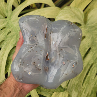 Polished Agate (8.0 lbs _ S-92)