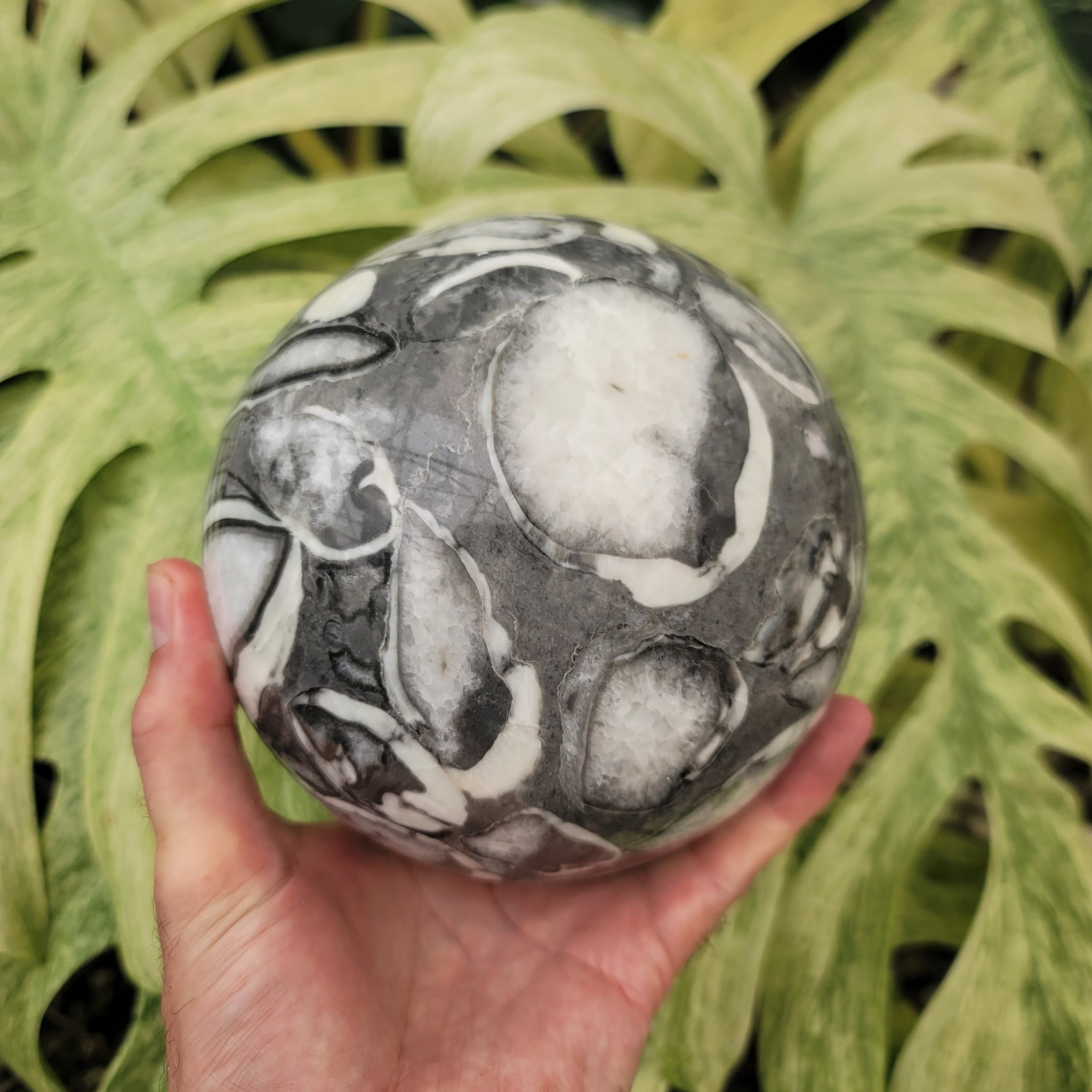 Clam Shell Marble Sphere (9.3 lbs _ S-94)