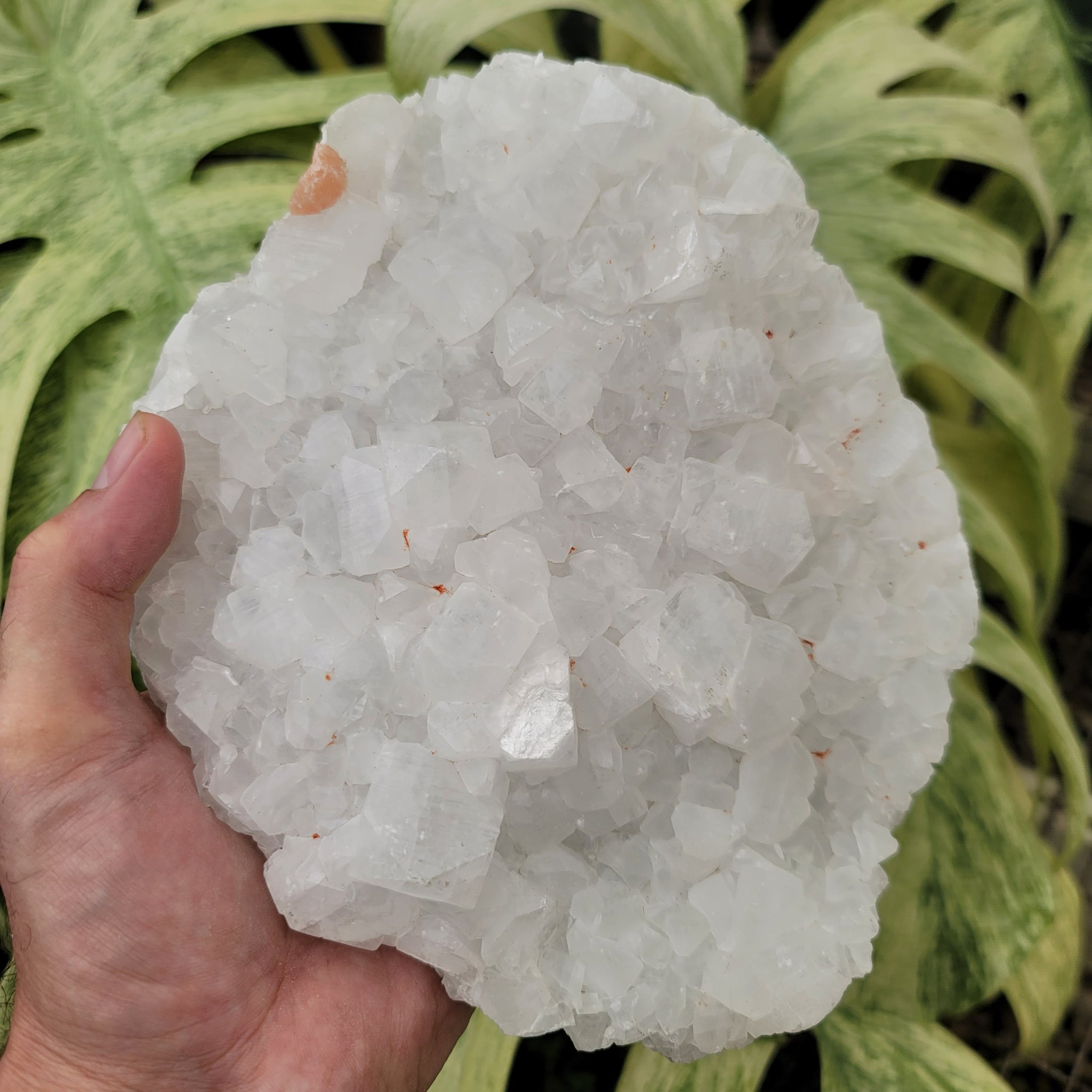 White Calcite Cluster (6.11 lbs _ S-97)
