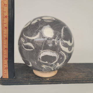 Clam Shell Marble Sphere (11.5 lbs _ S-100)