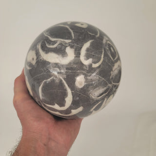 Clam Shell Marble Sphere (11.5 lbs _ S-100)