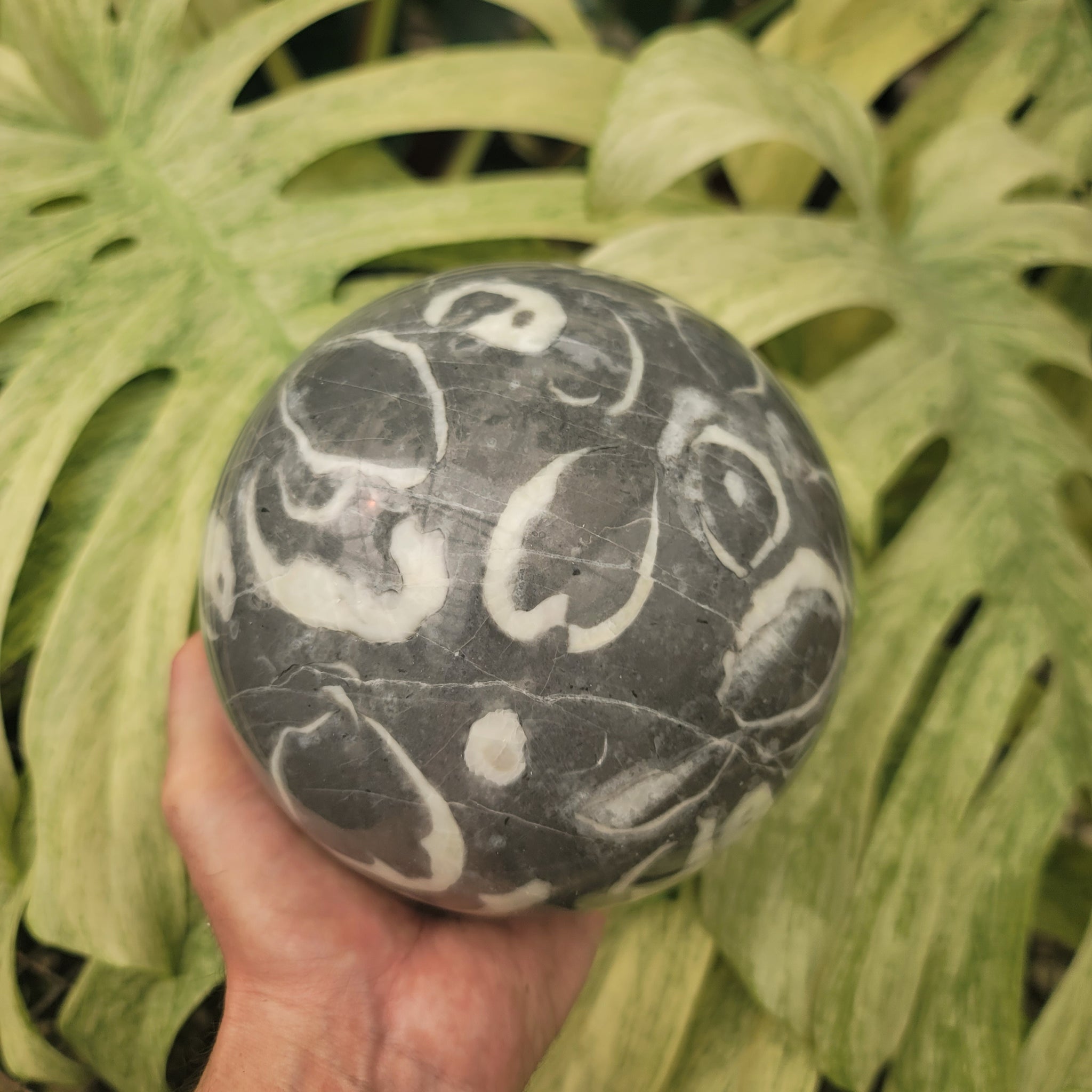 Clam Shell Marble Sphere (11.5 lbs _ S-100)