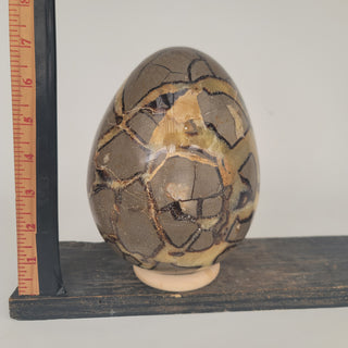 Druzy Septarian Egg (9.86 lbs _ S-101)