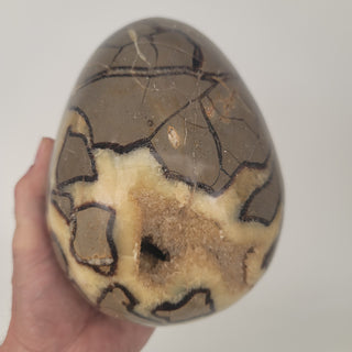 Druzy Septarian Egg (9.86 lbs _ S-101)