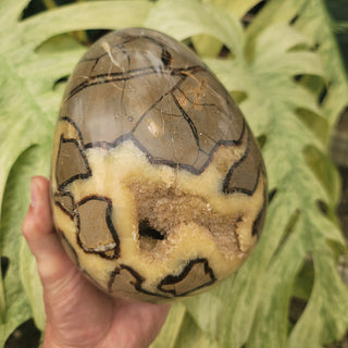 Druzy Septarian Egg (9.86 lbs _ S-101)