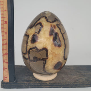 Septarian Egg (9.7 lbs _ S-105)
