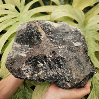 Black Tourmaline/Calcite Cluster (18.8 lbs _ S-109)